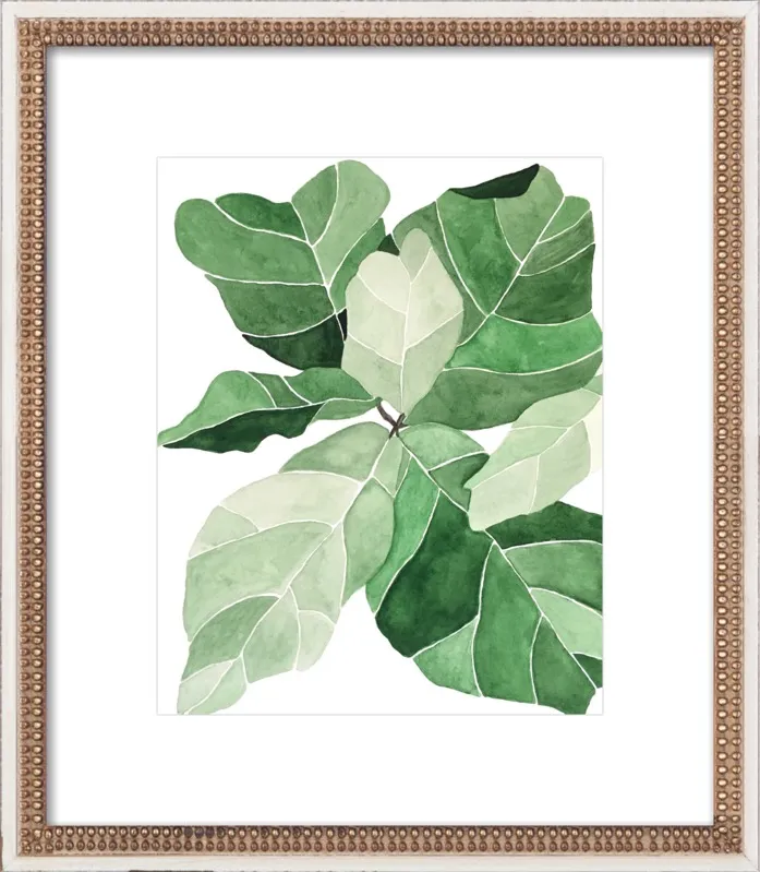 Fiddle Leaf Fig by Emily Grady Dodge for Artfully Walls