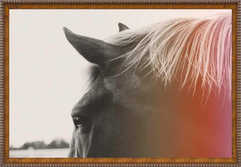 Pink Pony by Alicia Bock for Artfully Walls