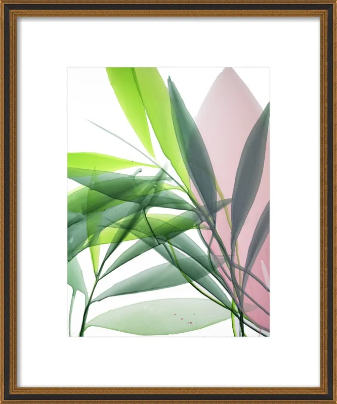Tropical Study no. 15 by Marina Dunbar  for Artfully Walls
