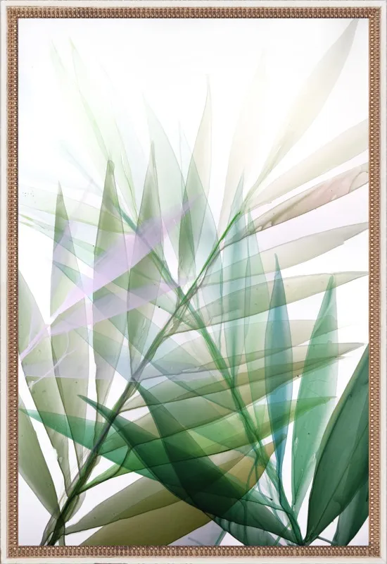 Tropical Study no. 8 by Marina Dunbar  for Artfully Walls