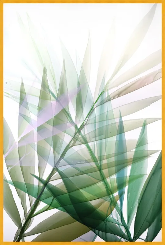 Tropical Study no. 8 by Marina Dunbar  for Artfully Walls