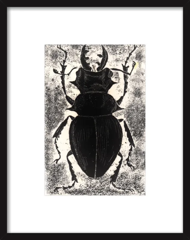 Black Beetle on White by Tennopent Sooster for Artfully Walls