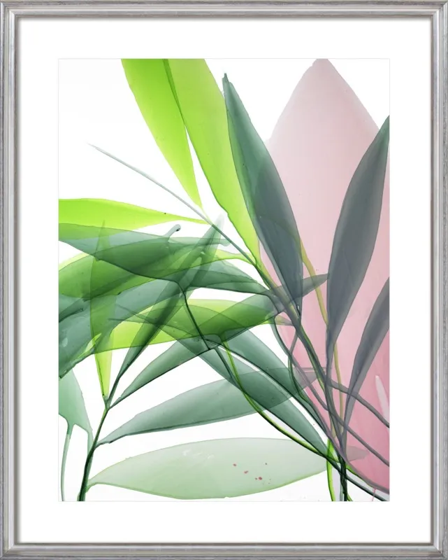 Tropical Study no. 15 by Marina Dunbar  for Artfully Walls