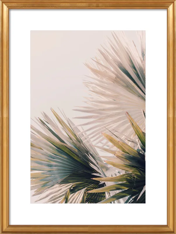 Capacity by Alicia Bock for Artfully Walls
