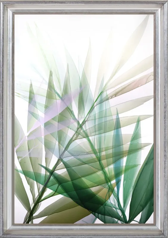 Tropical Study no. 8 by Marina Dunbar  for Artfully Walls