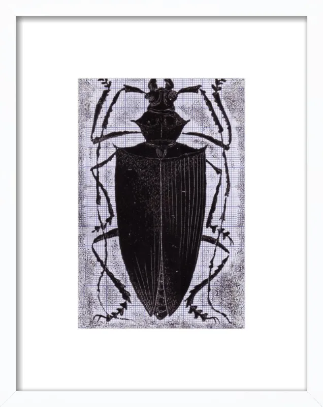 Black Beetle on Grey by Tennopent Sooster for Artfully Walls