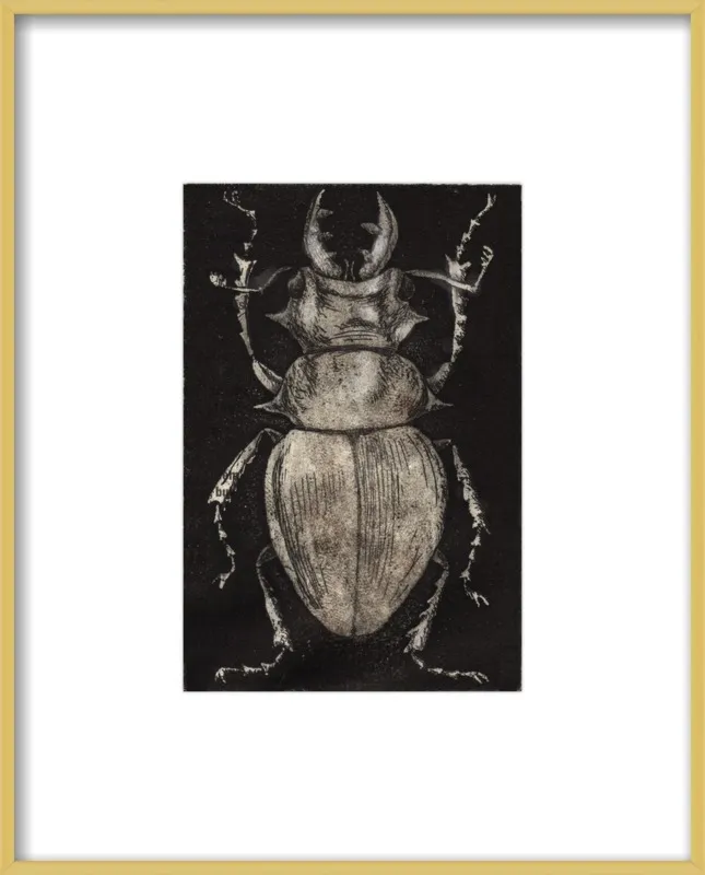 Grey Beetle on Black by Tennopent Sooster for Artfully Walls