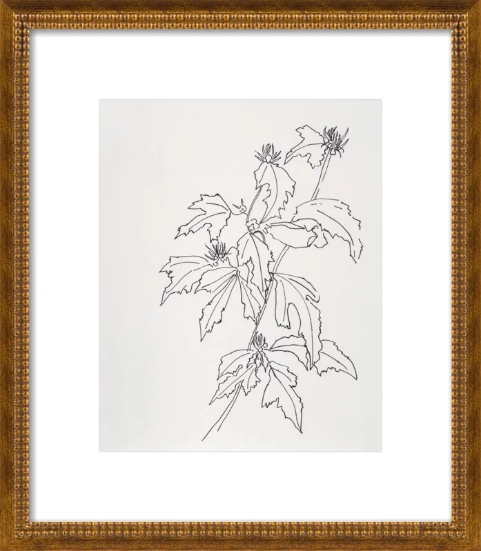 Leaves Rose of Sharon by Casey Chalem Anderson for Artfully Walls