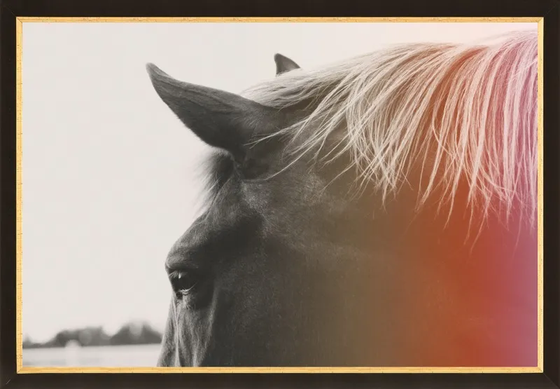 Pink Pony by Alicia Bock for Artfully Walls