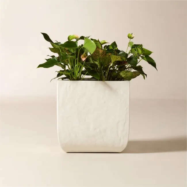 Leyla Ivory Faux Plaster Indoor/Outdoor Medium Planter 16"H