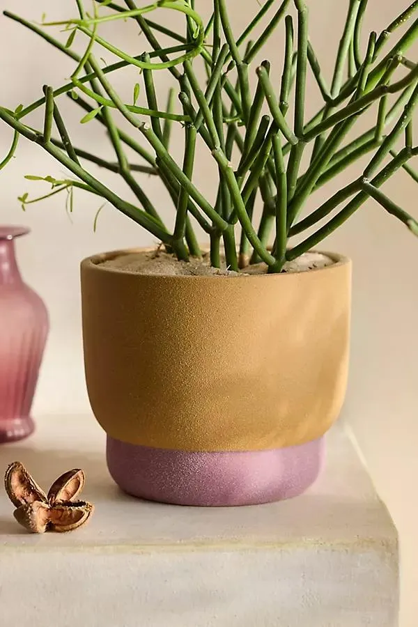 Spectrum Footed Stoneware Planter