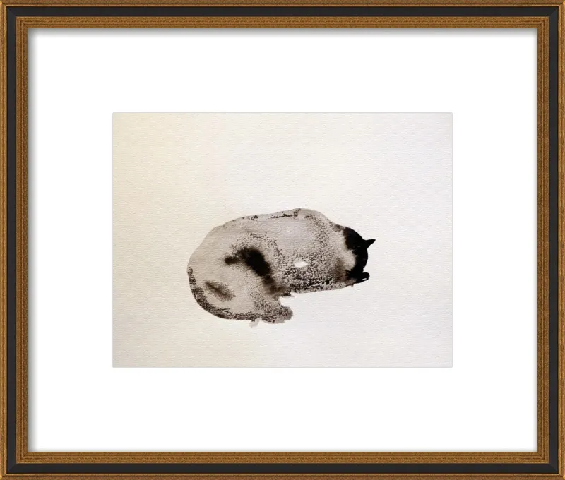Sleeping cat by Frederic Belaubre for Artfully Walls
