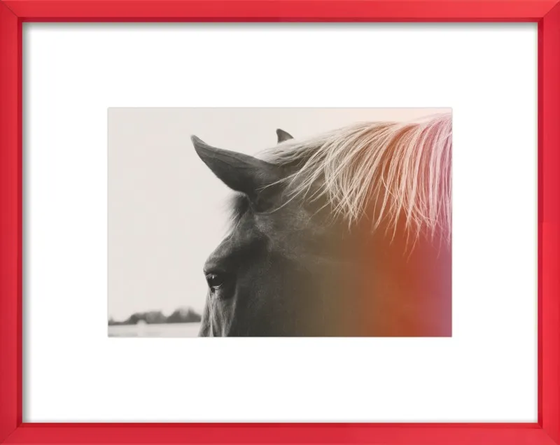 Pink Pony by Alicia Bock for Artfully Walls