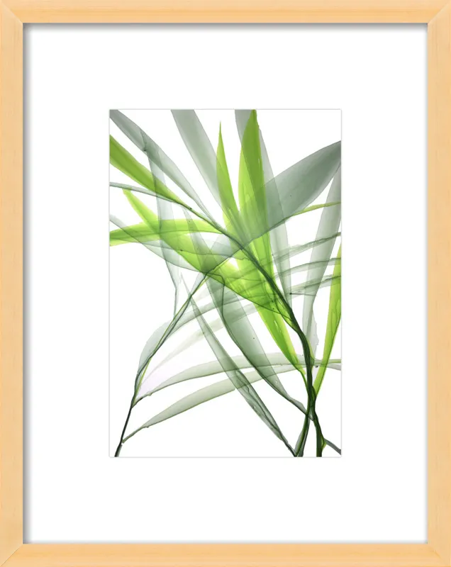 Tropical Study no. 3 by Marina Dunbar  for Artfully Walls