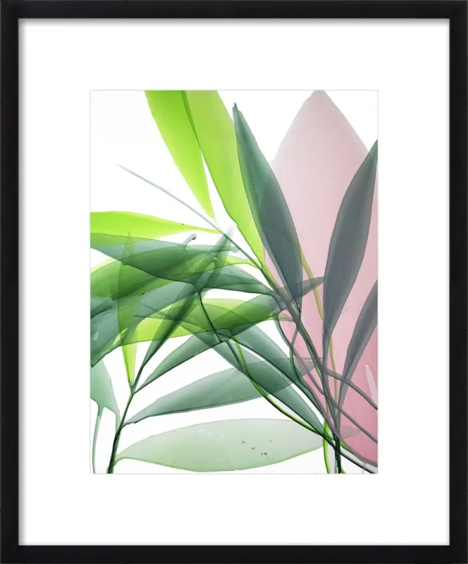 Tropical Study no. 15 by Marina Dunbar  for Artfully Walls