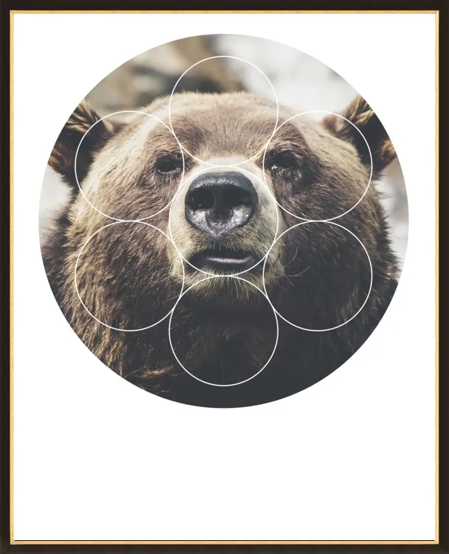 Big Bear Buddy - Geometric Photography by Emiliano Deificus for Artfully Walls