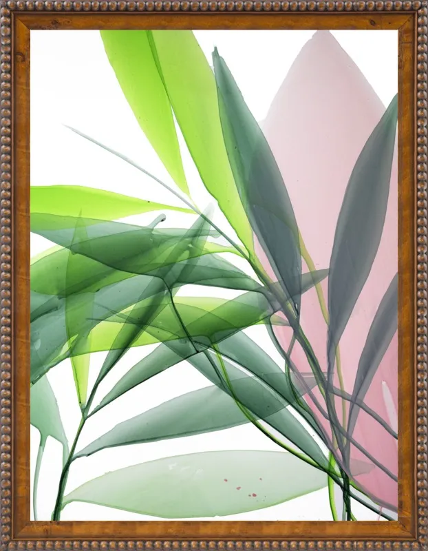 Tropical Study no. 15 by Marina Dunbar  for Artfully Walls