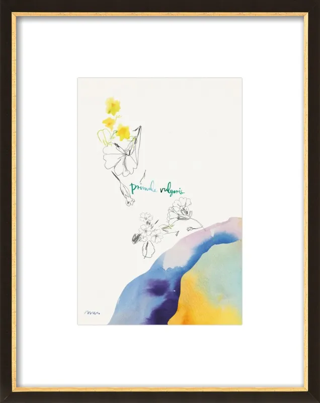 Primula Vulgaris by META WRABER for Artfully Walls