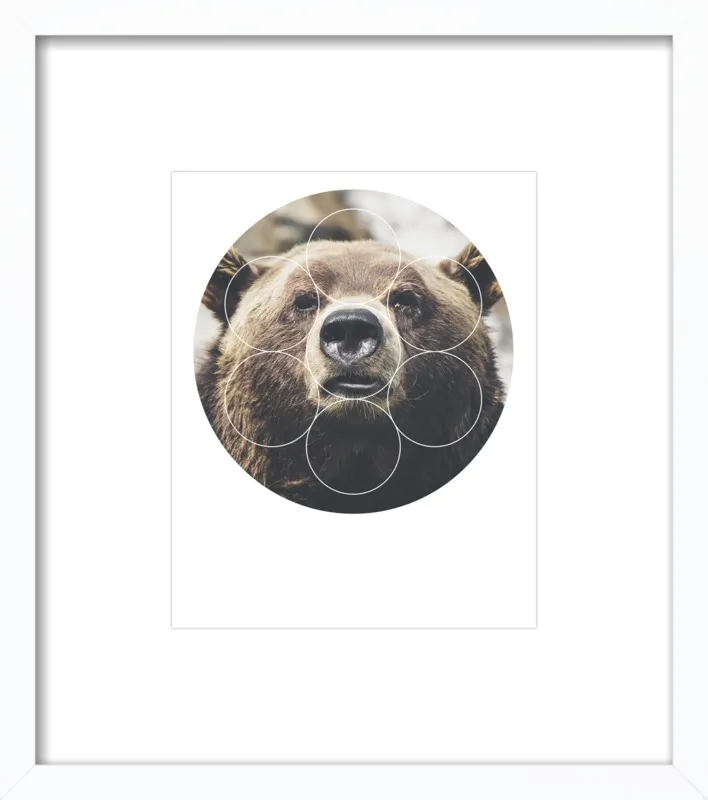 Big Bear Buddy - Geometric Photography by Emiliano Deificus for Artfully Walls