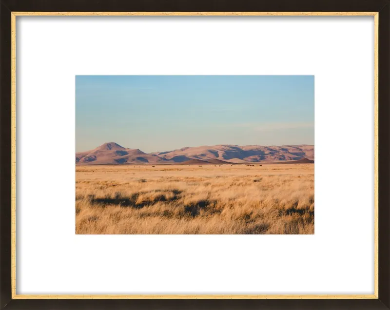 Where the Buffalo Roam by Ann Hudec for Artfully Walls
