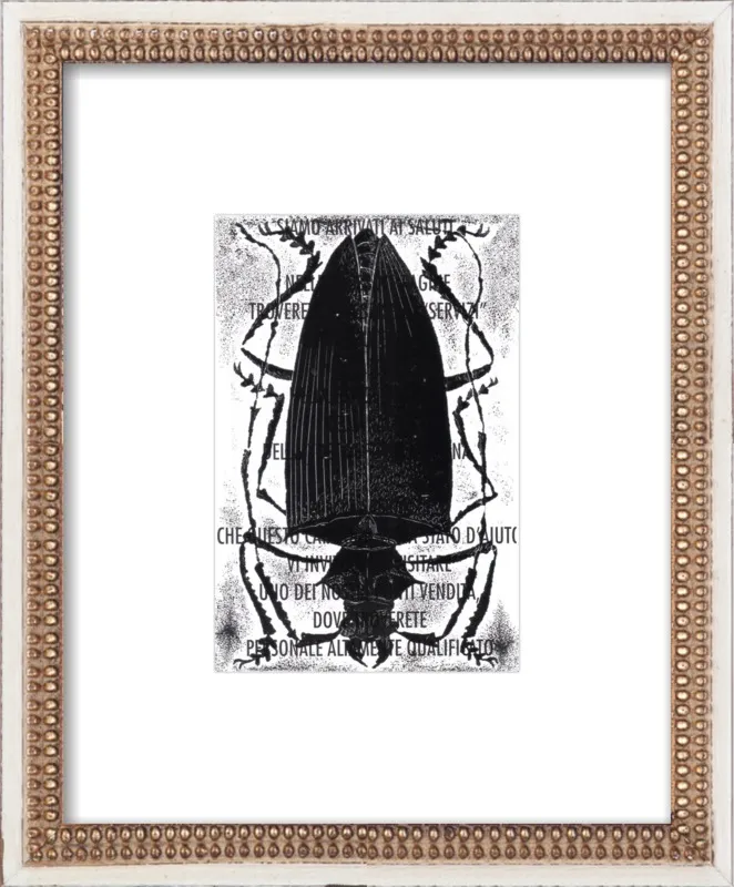 Black Beetle on Words by Tennopent Sooster for Artfully Walls
