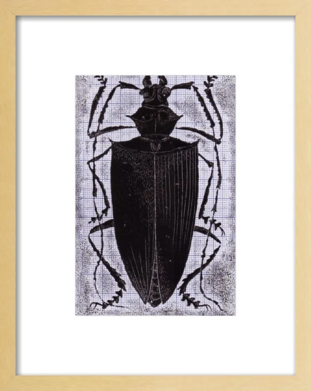 Black Beetle on Grey by Tennopent Sooster for Artfully Walls