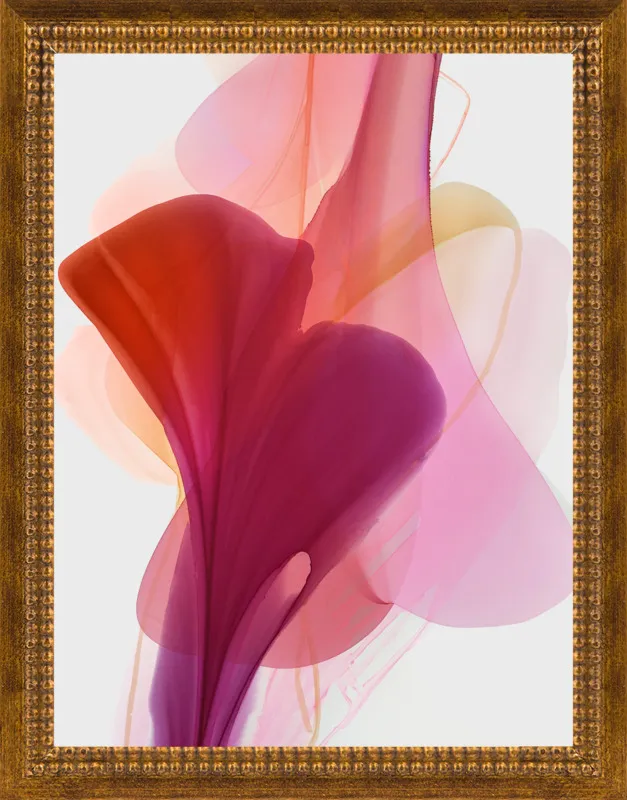 Abstract Flora Bloomlands 33 by Marta Spendowska for Artfully Walls