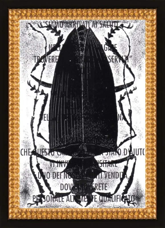 Black Beetle on Words by Tennopent Sooster for Artfully Walls