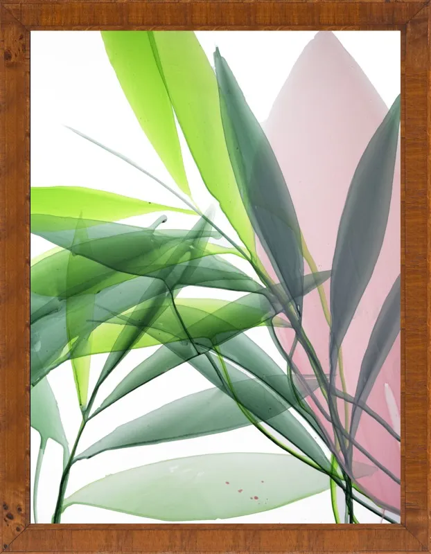 Tropical Study no. 15 by Marina Dunbar  for Artfully Walls