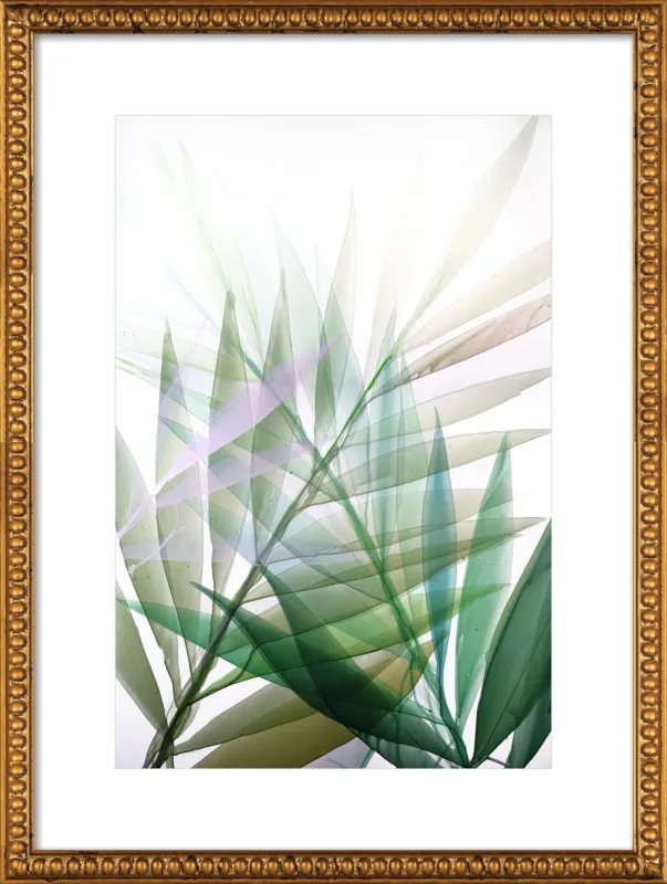 Tropical Study no. 8 by Marina Dunbar  for Artfully Walls