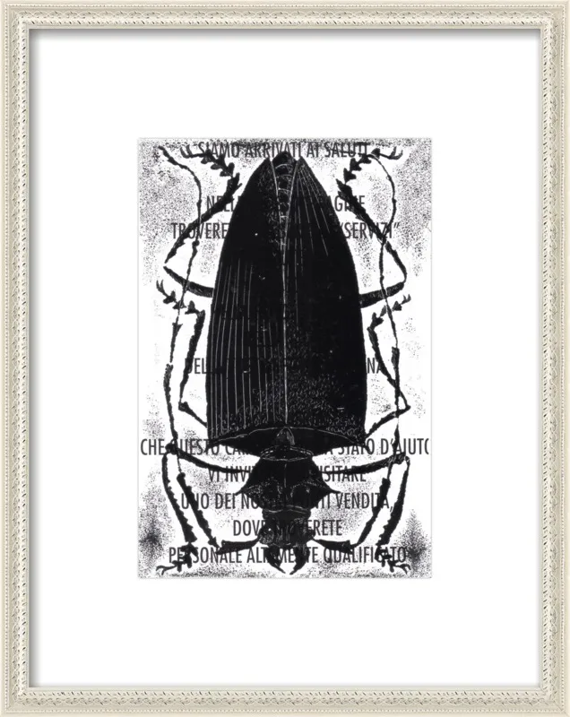 Black Beetle on Words by Tennopent Sooster for Artfully Walls