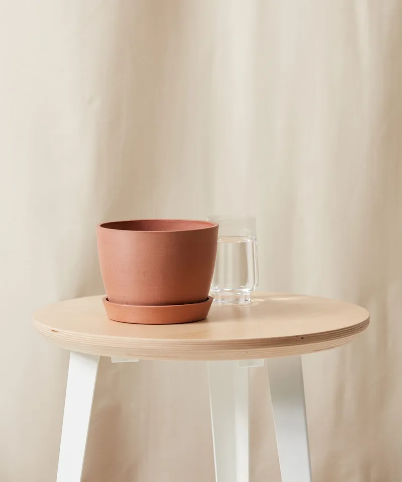 Ecopots Round Pot - Small (6") -  Clay