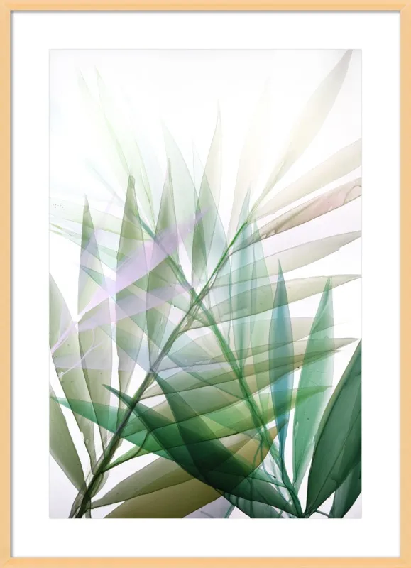 Tropical Study no. 8 by Marina Dunbar  for Artfully Walls
