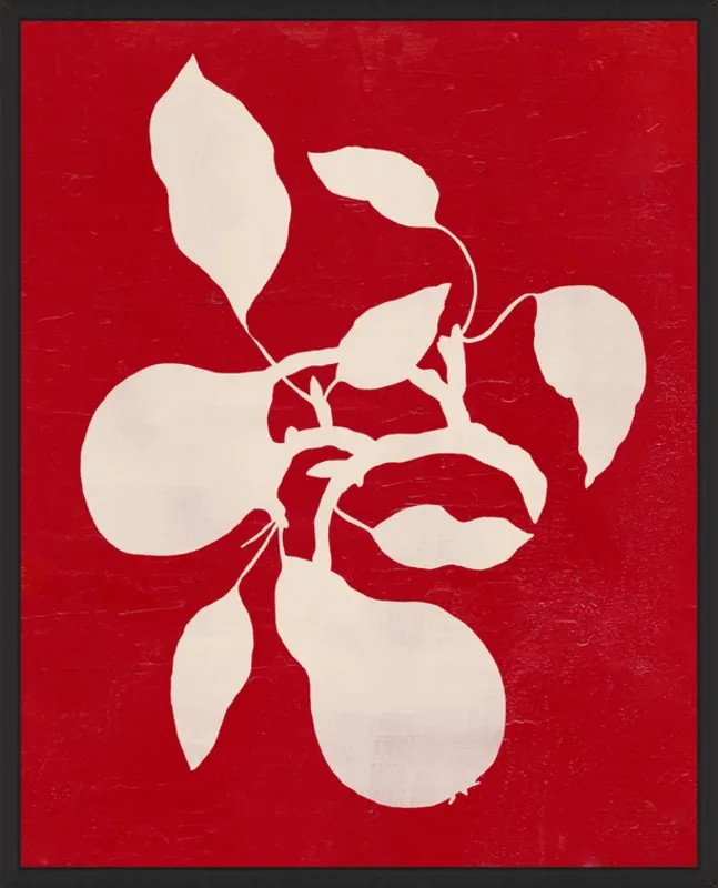 pears by Ruti Shaashua for Artfully Walls