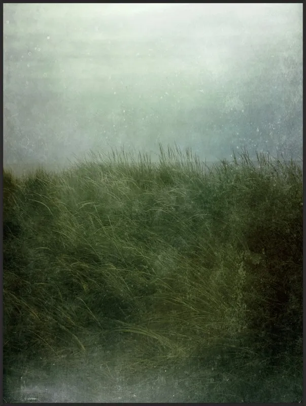 Twilight Beach by Olivia Joy StClaire for Artfully Walls