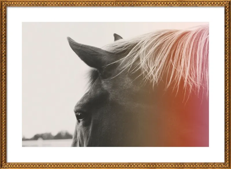 Pink Pony by Alicia Bock for Artfully Walls
