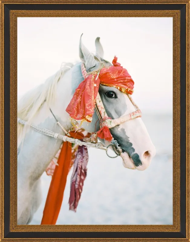 Marwari by Andrew Jacona for Artfully Walls