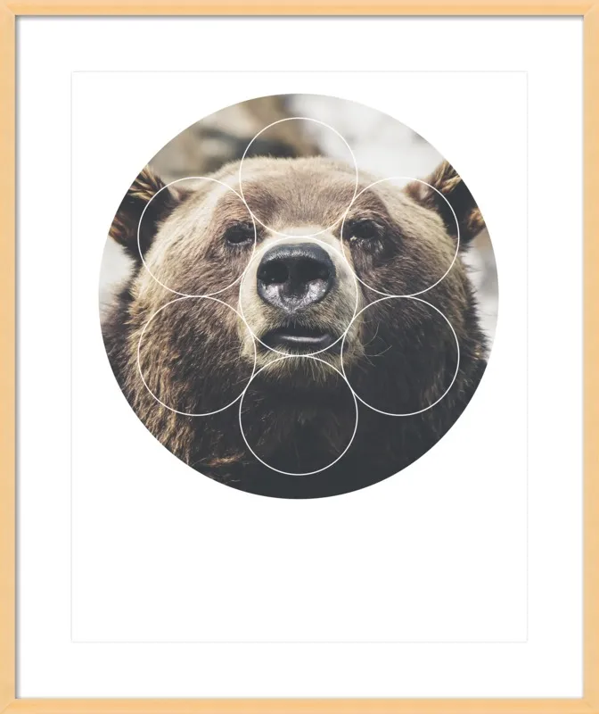 Big Bear Buddy - Geometric Photography by Emiliano Deificus for Artfully Walls