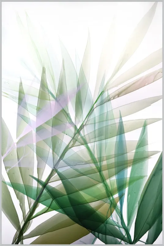 Tropical Study no. 8 by Marina Dunbar  for Artfully Walls