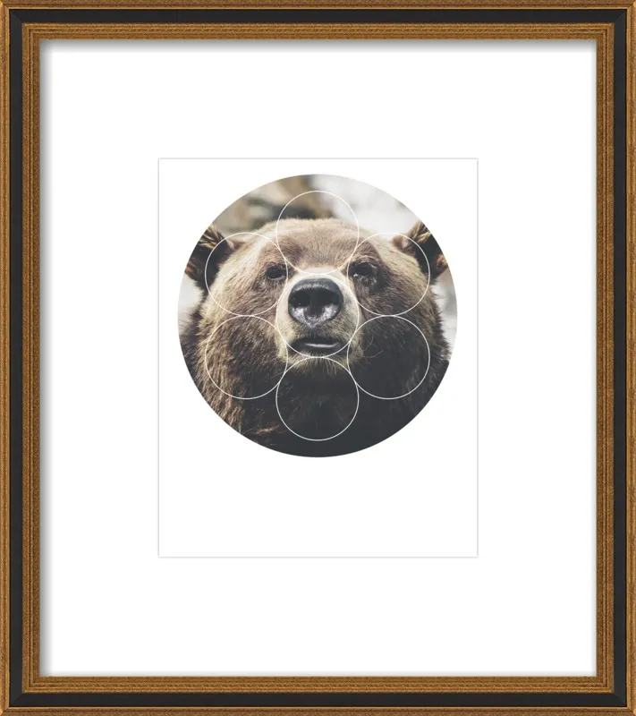 Big Bear Buddy - Geometric Photography by Emiliano Deificus for Artfully Walls