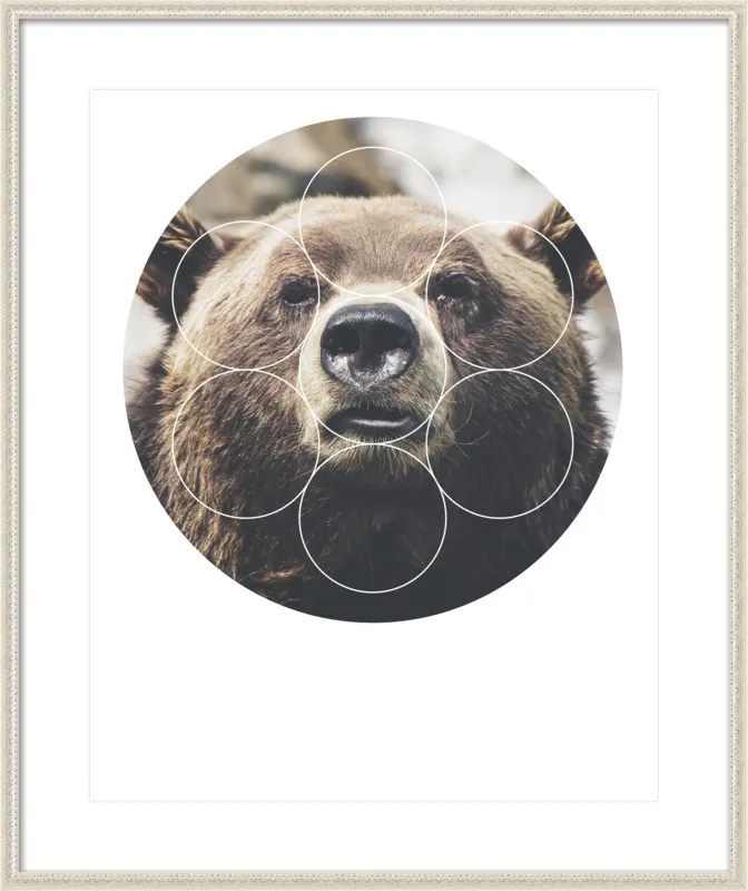 Big Bear Buddy - Geometric Photography by Emiliano Deificus for Artfully Walls