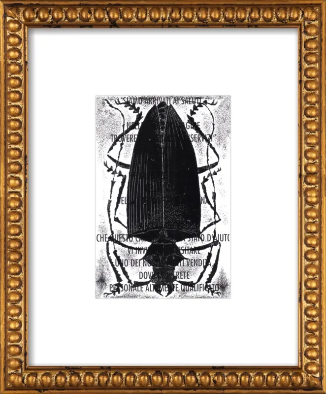 Black Beetle on Words by Tennopent Sooster for Artfully Walls