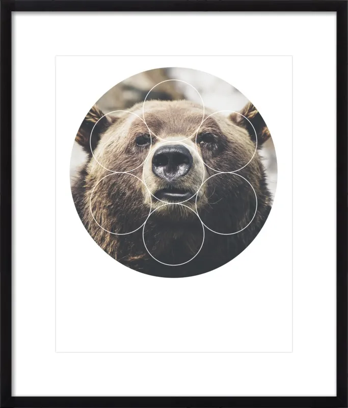Big Bear Buddy - Geometric Photography by Emiliano Deificus for Artfully Walls