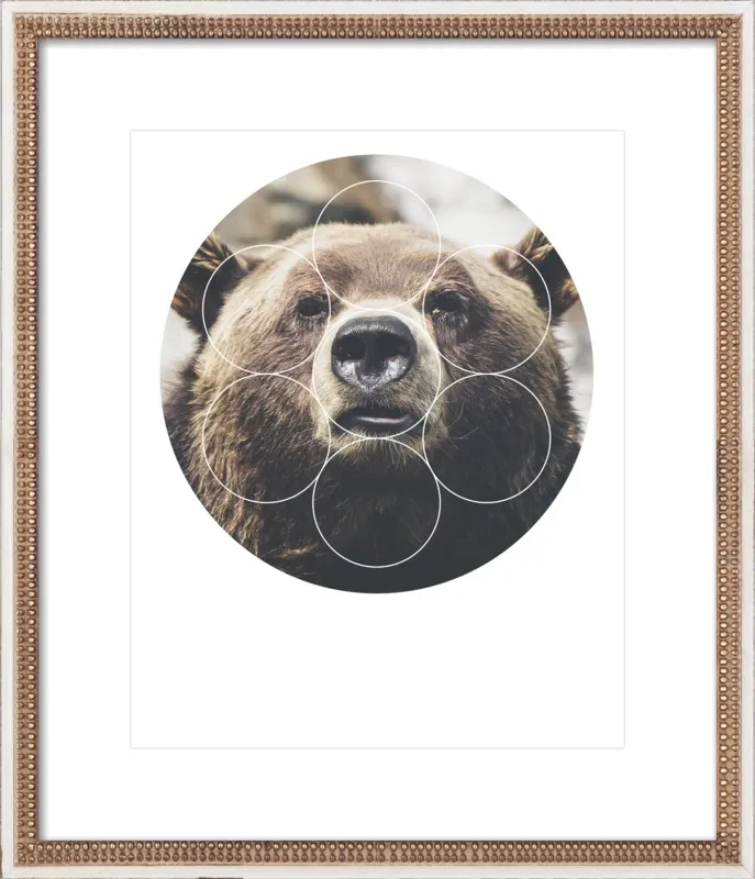 Big Bear Buddy - Geometric Photography by Emiliano Deificus for Artfully Walls