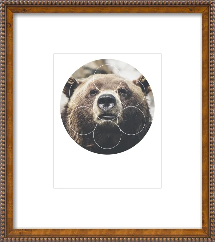 Big Bear Buddy - Geometric Photography by Emiliano Deificus for Artfully Walls