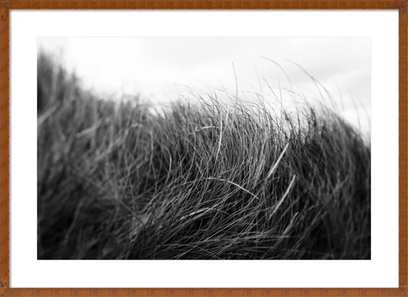 Beach Grass #3 by Alicia Bock for Artfully Walls