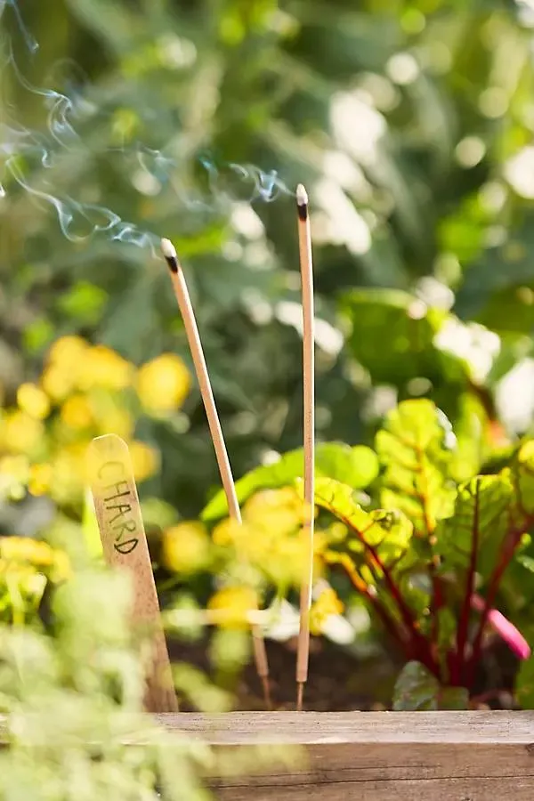 Guard'en Sticks Natural Insect Deterrent, Set of 28