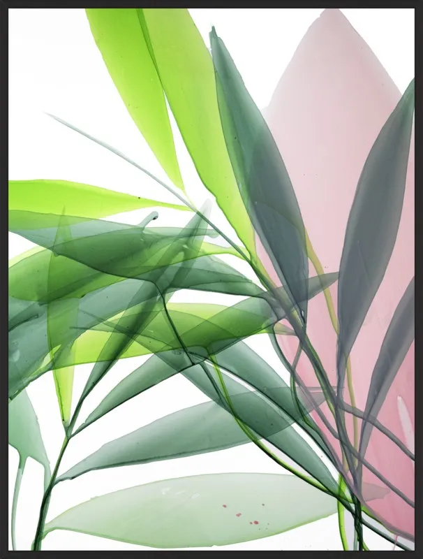 Tropical Study no. 15 by Marina Dunbar  for Artfully Walls