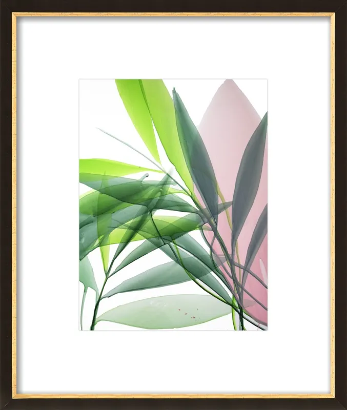 Tropical Study no. 15 by Marina Dunbar  for Artfully Walls