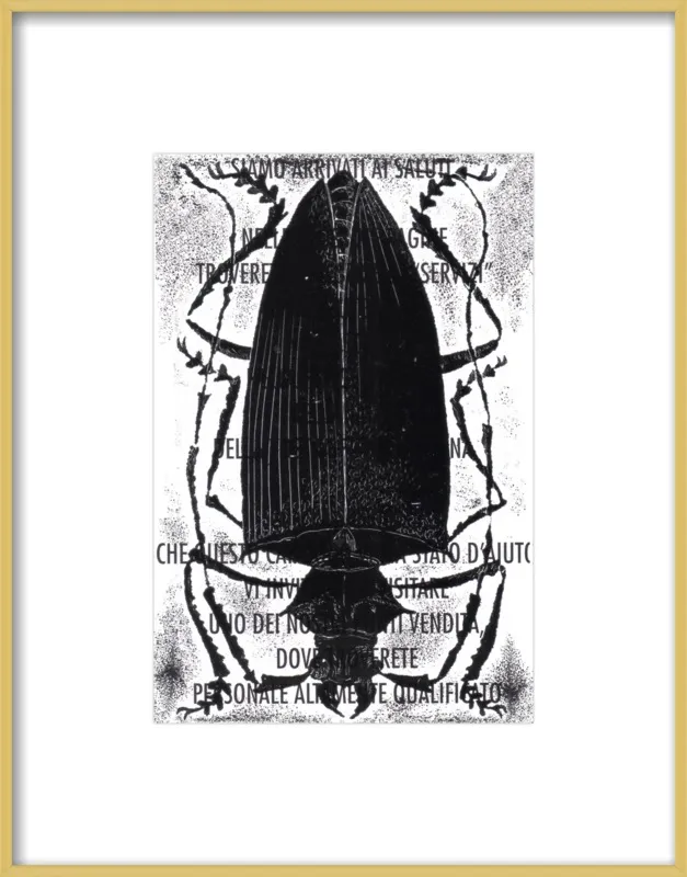 Black Beetle on Words by Tennopent Sooster for Artfully Walls